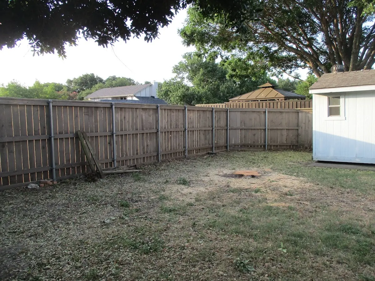 Cleared yard after professional tree removal in Greensburg