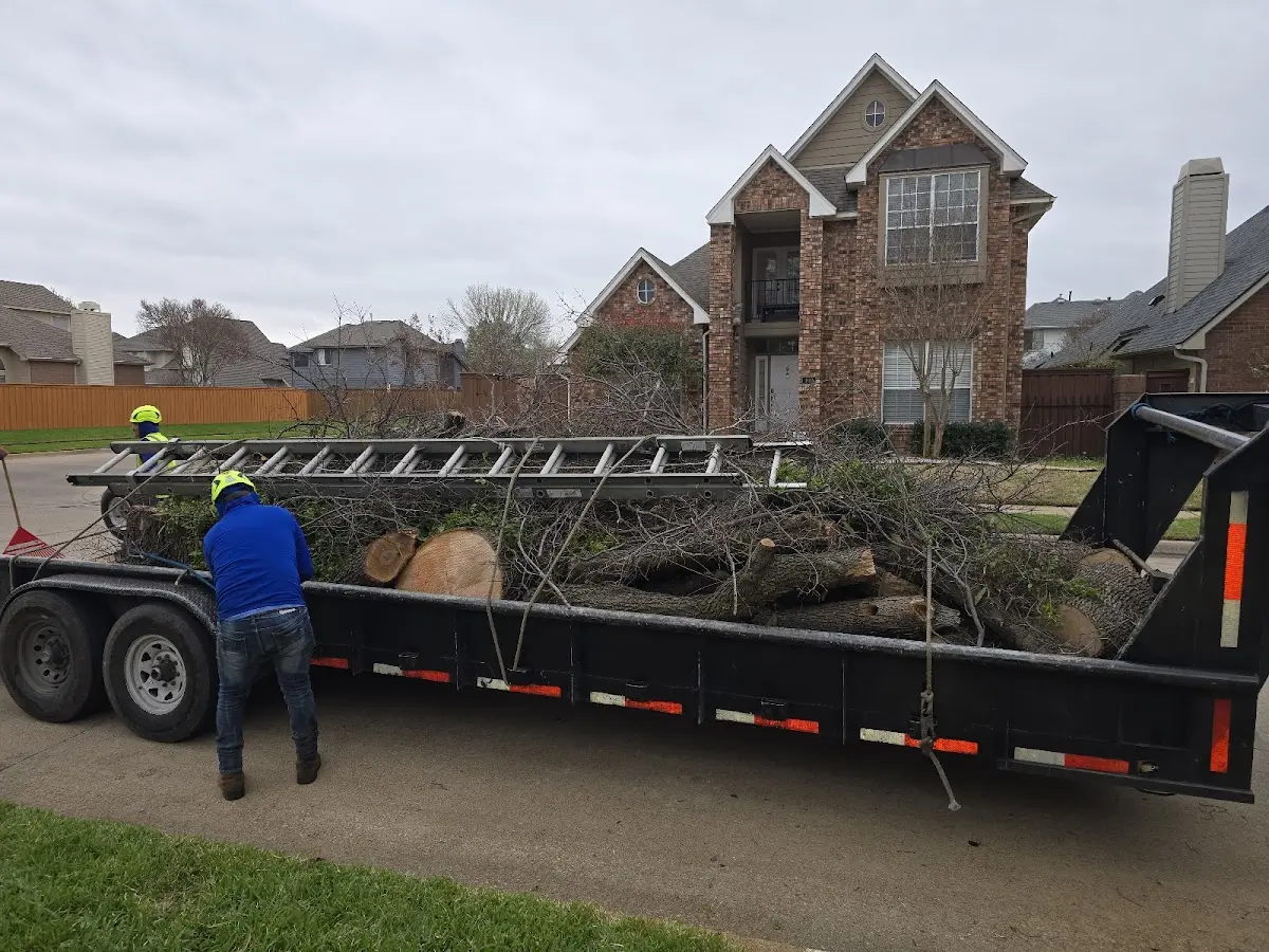 Expert Tree Fertilization with proper safety equipment in Greensburg